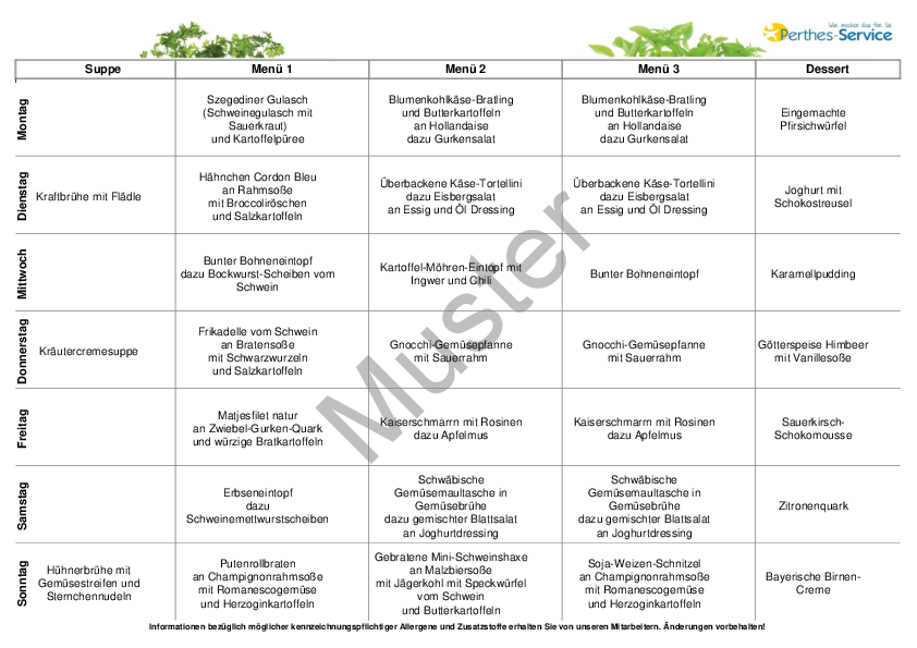 Musterspeiseplan