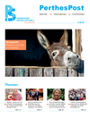 PerthesPost 3/2019