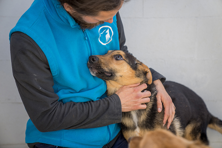 Hund aus dem Tierschutzzentrum Odessa schmiegt sich an Tierpfleger des Tierschutzzentrums Weidefeld und schaut ihn dankbar an.