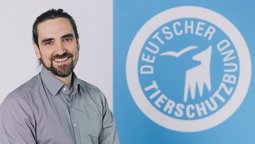 Portraitfoto von David Knitter, Mitarbeiter des Deutschen Tierschutzbundes