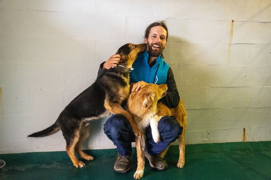 Tierpfleger in Weidefeld streichelt zwei fröhliche Hunde aus Odessa
