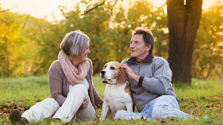 Ein älteres Paar sitzt mit einem Beagle auf einer Wiese