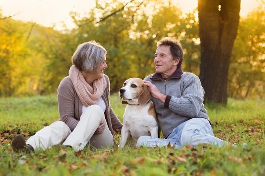 Ein älteres Paar sitzt mit einem Beagle auf einer Wiese