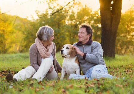 Ein älteres Paar sitzt mit einem Beagle auf einer Wiese