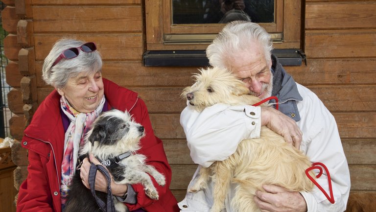 Auf dem Schoß von zwei Menschen sitzen zwei Hunde