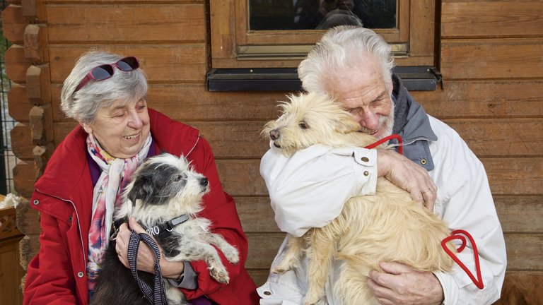 Auf dem Schoß von zwei Menschen sitzen zwei Hunde