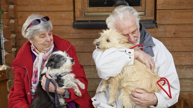 Auf dem Schoß von zwei Menschen sitzen zwei Hunde