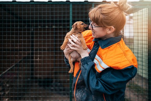 Eine junge Frau hält einen Welpen auf dem Arm