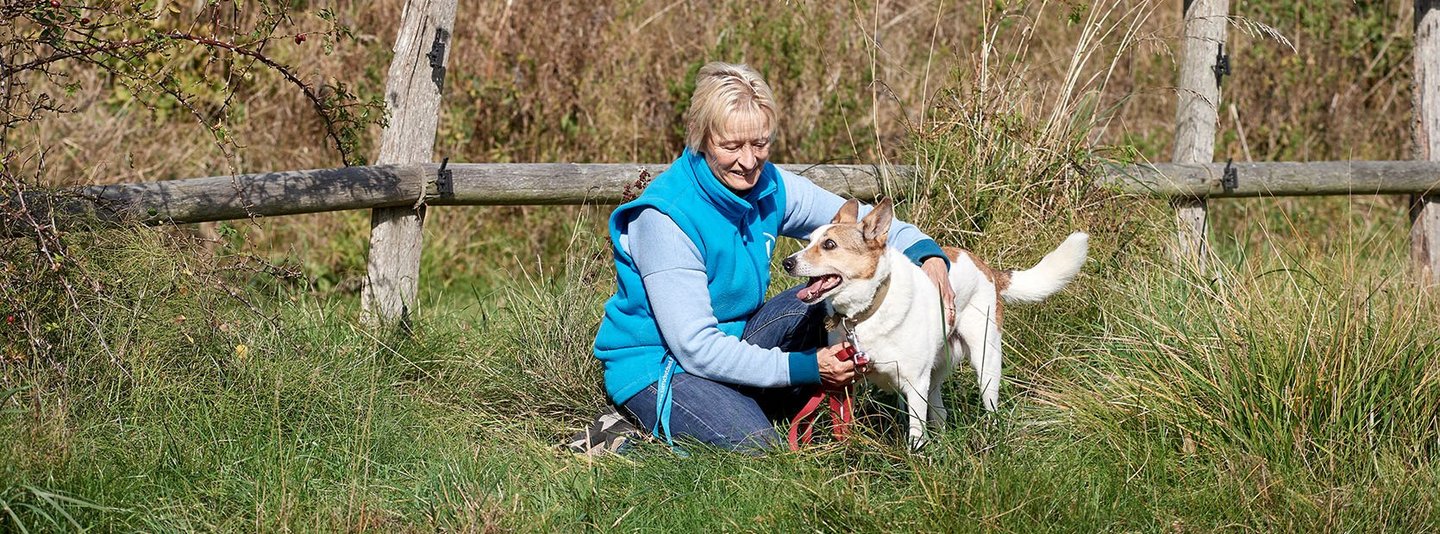 Mensch und Hund gemeinsam auf einer - von einem Holzzaun umgebenen - Wiese