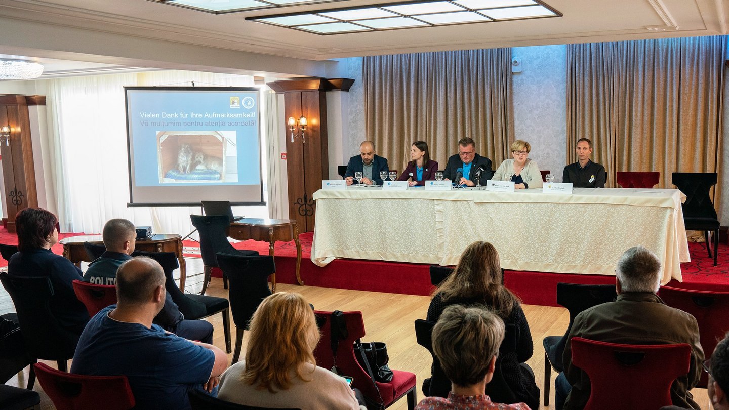 Konferenz in Pitesti