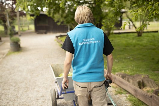 Tierpfleger in Tierheim schiebt eine Schubkarre über das Gelände