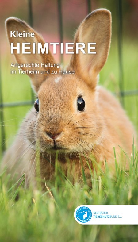 Cover des Buchs "Kleine Heimtiere", das eine Galerie an Bildern von Kaninchen, Meerschweinchen und weiteren Kleintieren zeigt