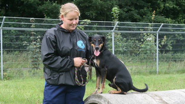 Tierpflegerin_mit_Hund_Hundearbeit in Weidefeld