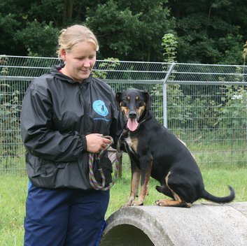 Tierpflegerin_mit_Hund_Hundearbeit in Weidefeld
