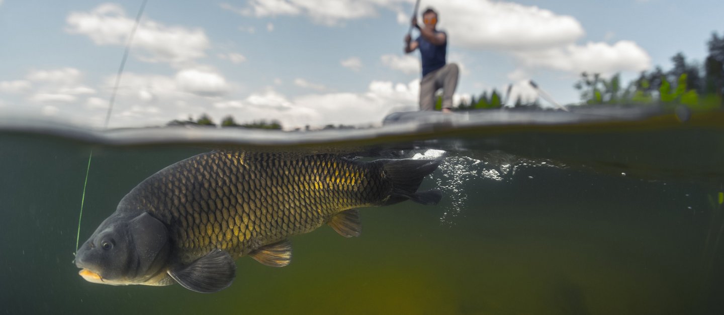 Mann angelt einen Fisch im See