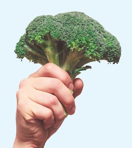 Cover der Broschüre "Tierschutz im Einkaufskorb" mit einer Hand, die einen Brokkoli hält
