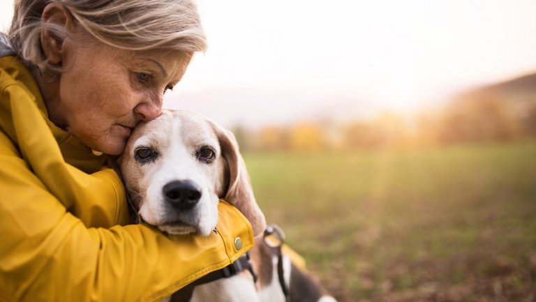 Traurig schauende aeltere Frau mit Hund im Arm