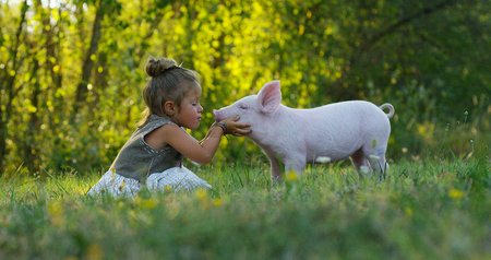 Auf einer grünen Wiese steht ein Ferkel mit Blick in Richtung eines kleinen Mädchens, das auf der Wiese sitzt und das Ferkel streichelt. 