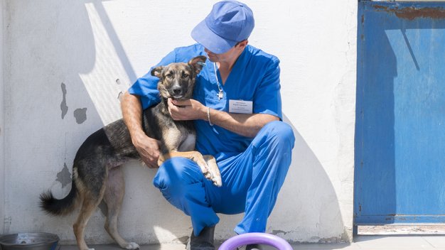 Hund hat seine Vorderbeine auf dem Schoß eines Tierpflegers in Odessa. Hund schaut in die Kamera, der Tierpfleger schaut den Hund an. 