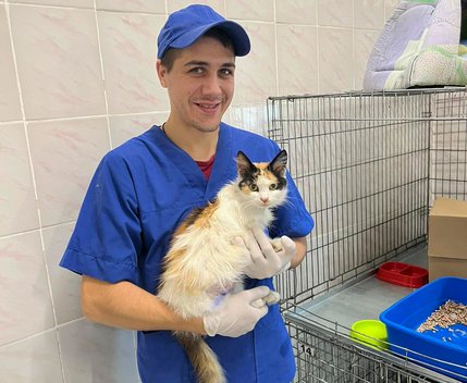 Tierpfleger mit Katze auf dem Arm