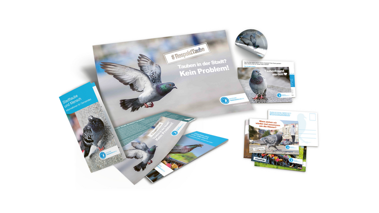 Zusammenstellung des Infopakets zu unserer Kampagne "RespektTaube" aus Infobroschüre, Flyern und weiterem Infomaterial