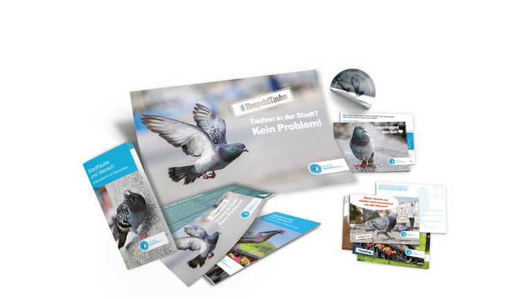 Zusammenstellung des Infopakets zu unserer Kampagne "RespektTaube" aus Infobroschüre, Flyern und weiterem Infomaterial