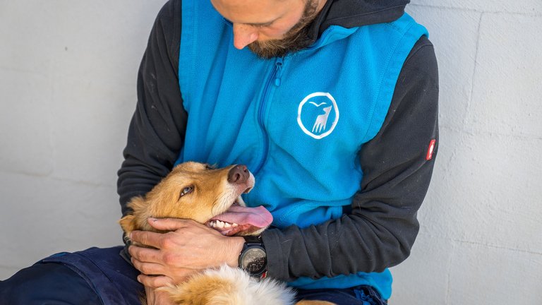 Tierpfleger des Tierschutzzentrums Weidefelds streichelt aus Odessa evakuierten Hund, der ihn glücklich anschaut.