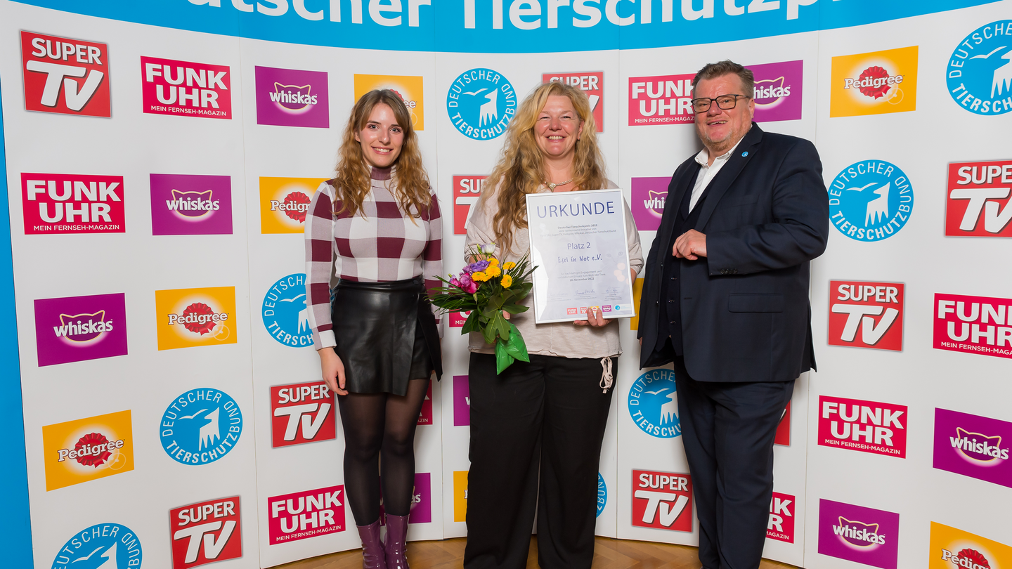Zweiter Preis für "Esel in Not"