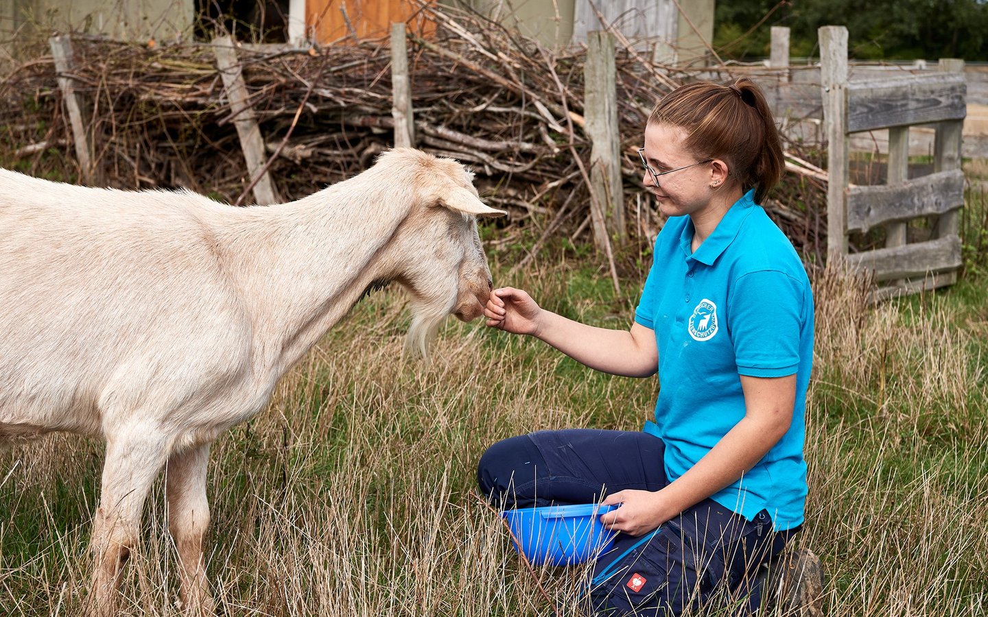 Tierpflegerin hockt im Tierschutzzentrum Weidefeld auf Wiese und füttert Ziege
