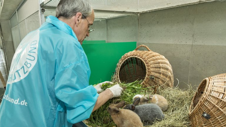 Arbeit im Tierheim Berlin