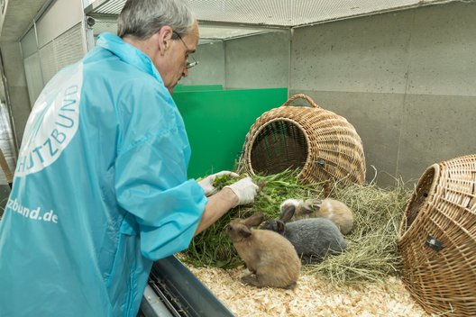 Arbeit im Tierheim Berlin