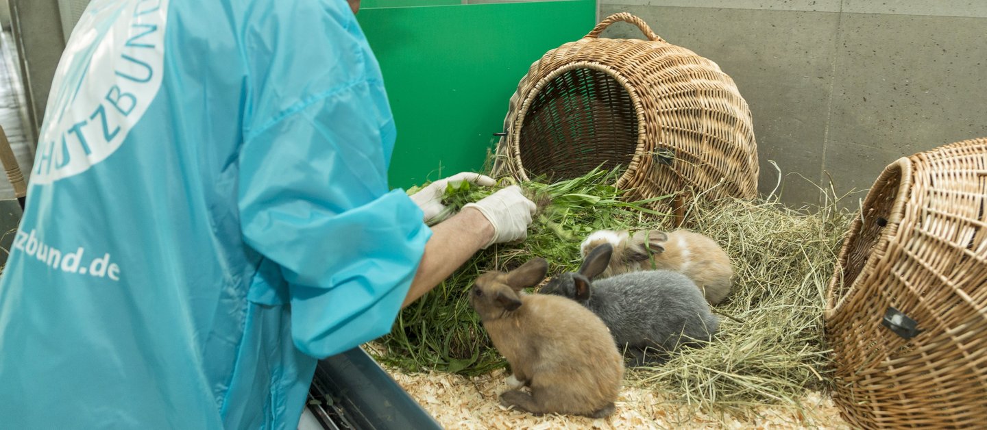 Arbeit im Tierheim Berlin Arbeit im Tierheim Berlin