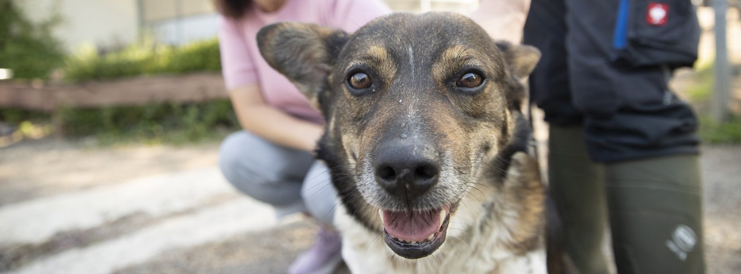 Kampagnenmotiv_Hund_Menschen_Portrait_Tierheime_Tierheimarbeit_c_www.tomasrodriguez.de Portrait eines Hundes, neben dem ein Tierpfleger steht und hinter dem eine Frau hockt