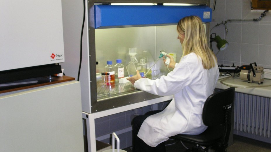 Eine Forscherin wird bei ihrer Laborarbeit am Schreibtisch gezeigt.