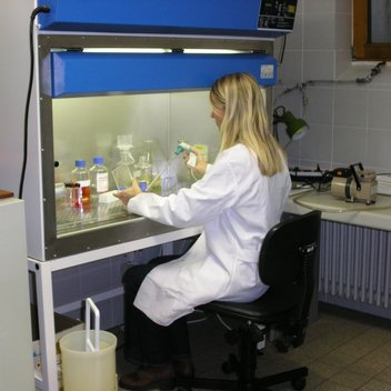 Eine Forscherin wird bei ihrer Laborarbeit am Schreibtisch gezeigt.