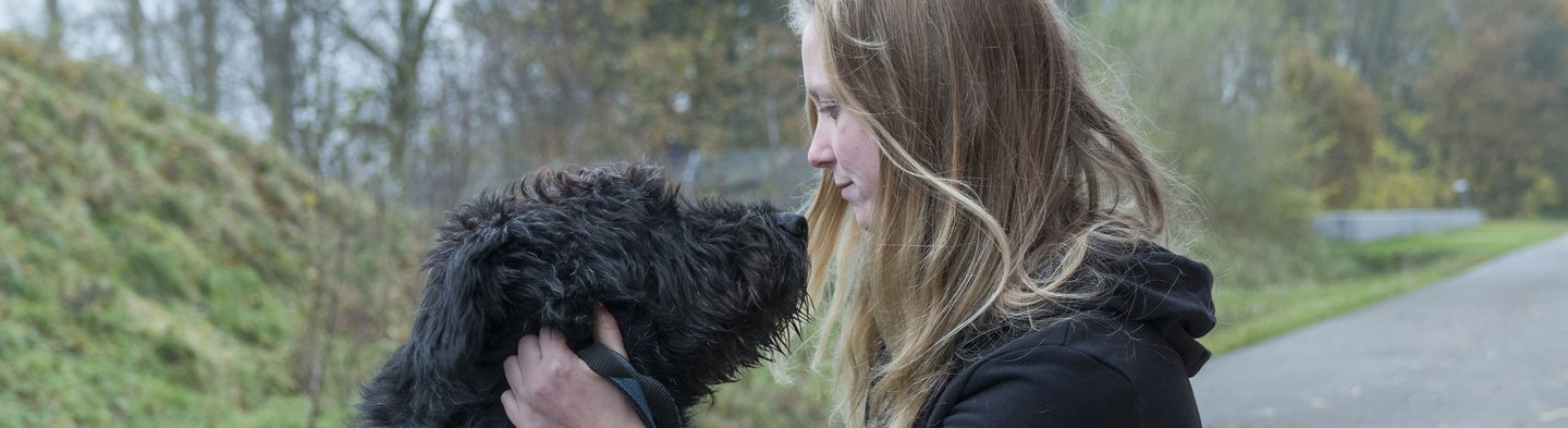 Eine Frau geht in die Hocke, um den Hund vor ihr zu streicheln